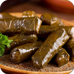 Persian-Dolma