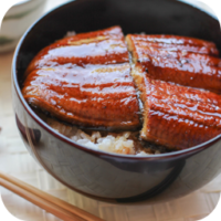 Japanese-–-Unagi