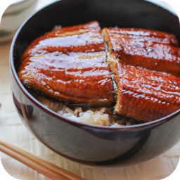 Japanese-–-Unagi